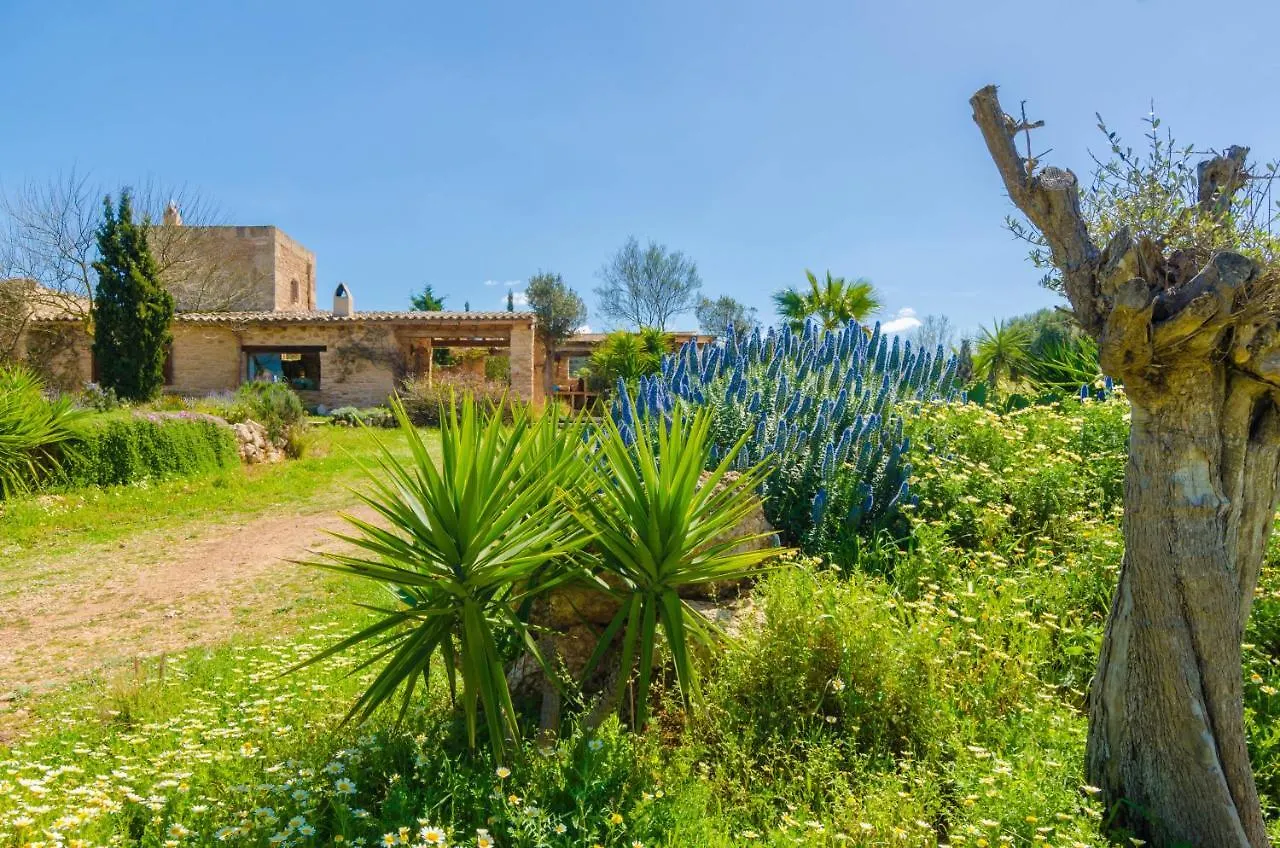 Villa Es Moli Des Trenc Campos