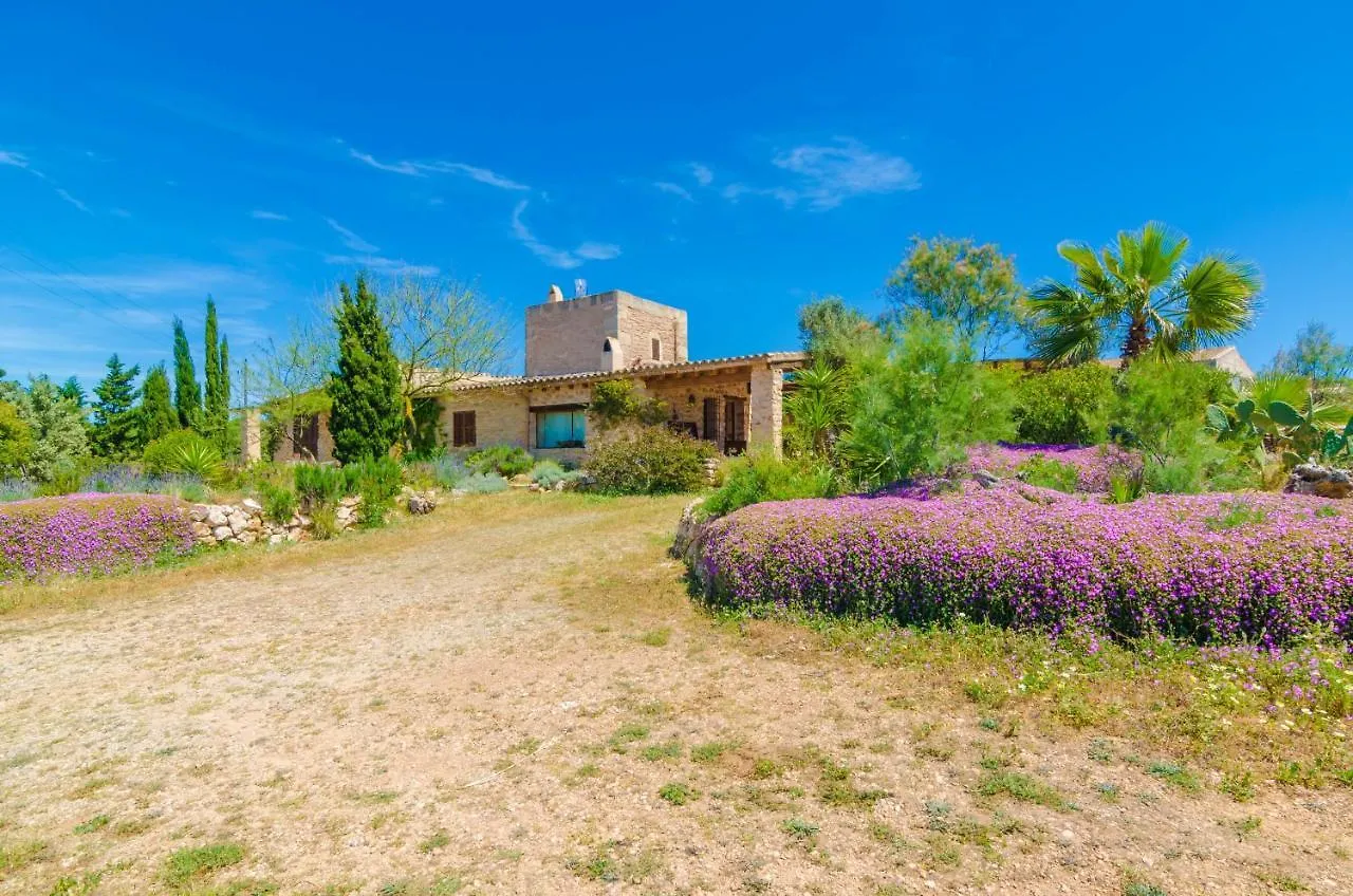 Villa Es Moli Des Trenc Campos  Spain